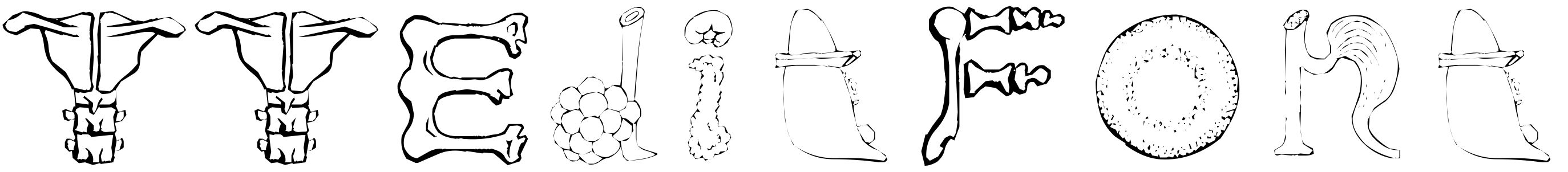 Font TTEditFont