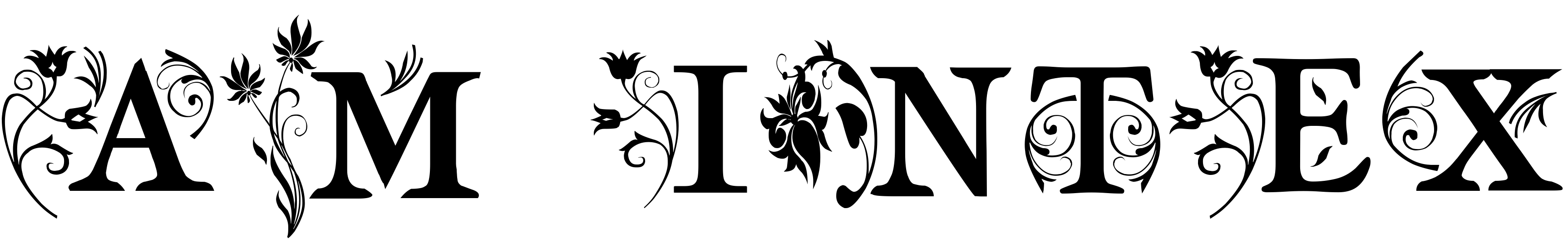 Font am_intex