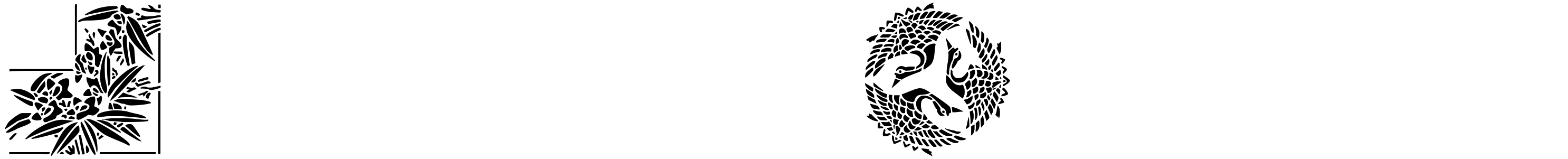 Font Japanese Designs